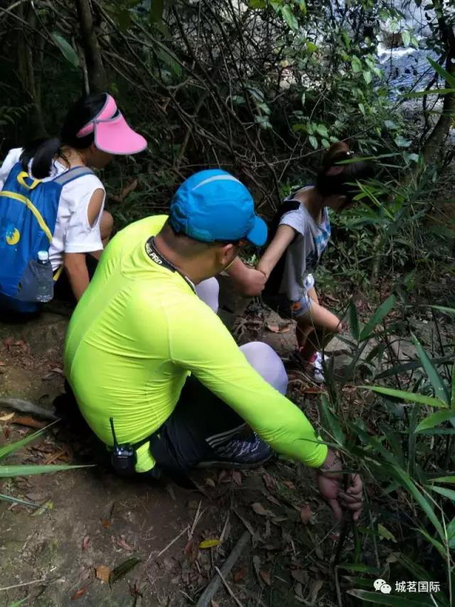 快上車(chē)，小編帶你去巡山