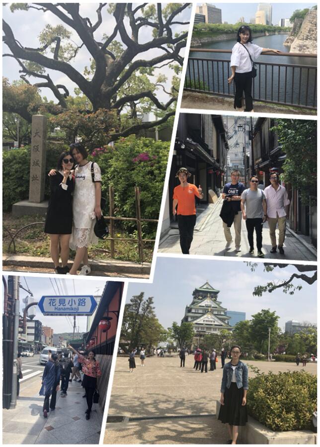 不負(fù)春色不負(fù)花—城茗國(guó)際日本櫻花之旅
