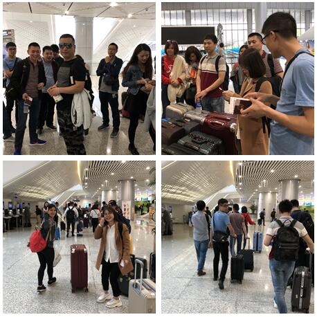 不負(fù)春色不負(fù)花—城茗國(guó)際日本櫻花之旅