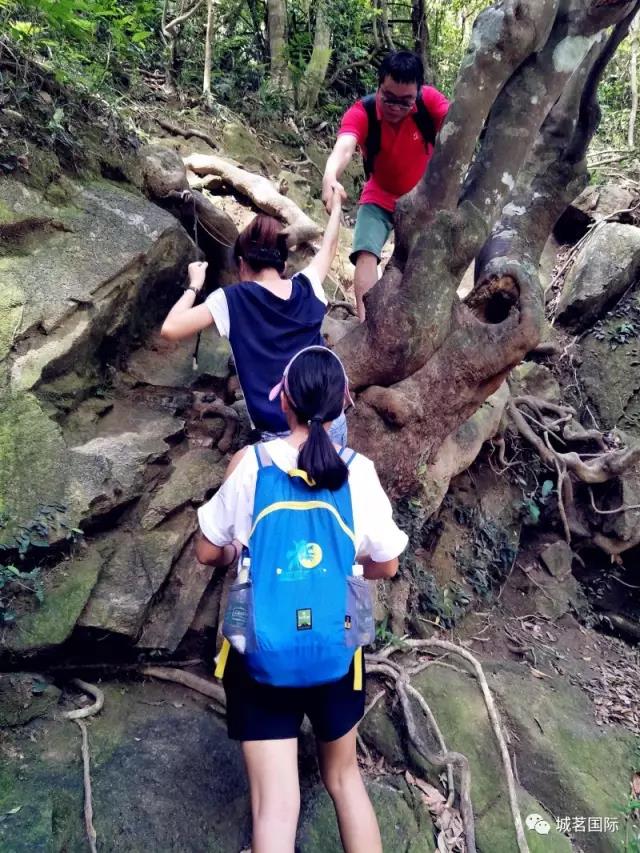 快上車(chē)，小編帶你去巡山